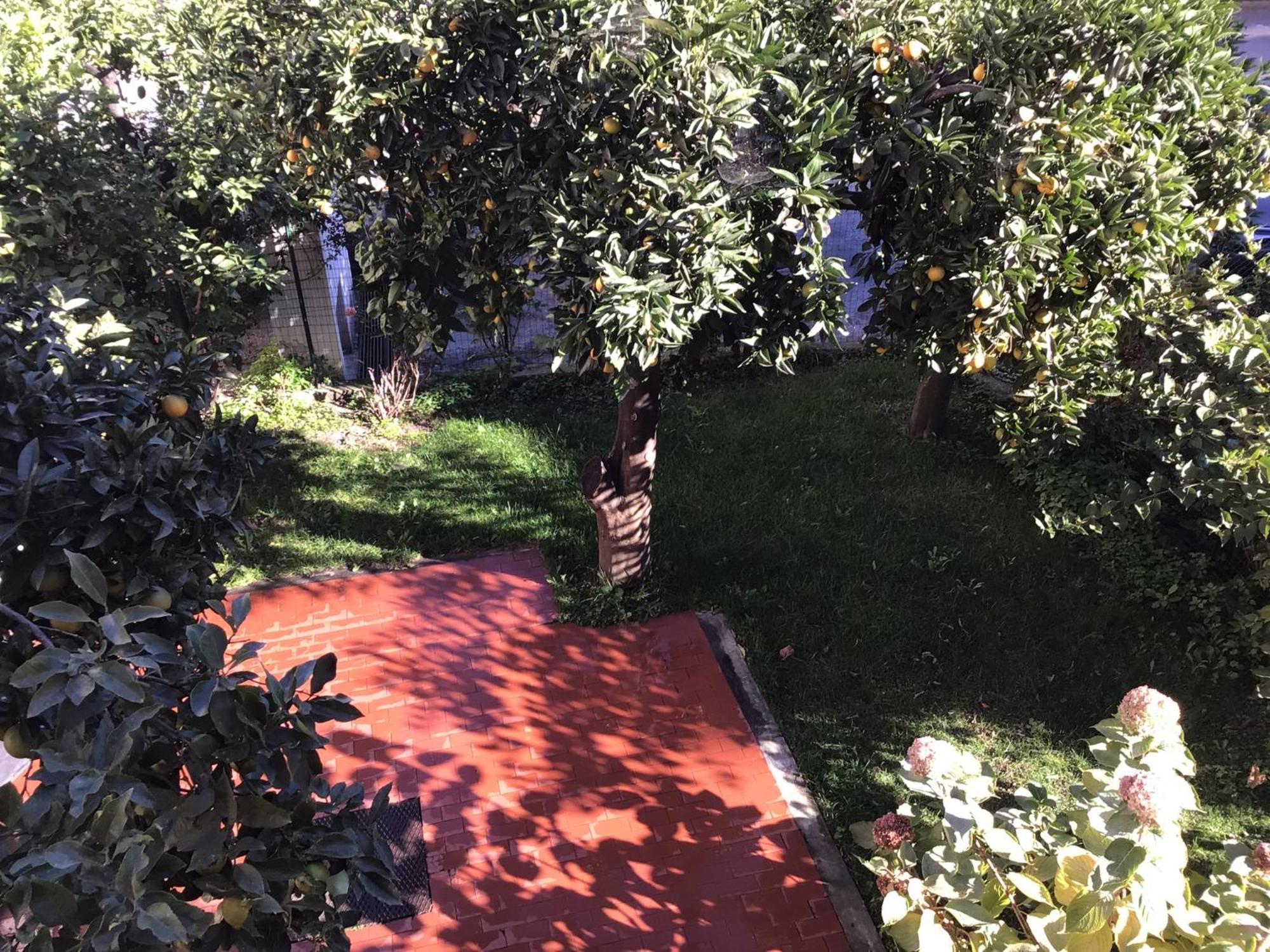 Casa Luigia Rooms Mtb In Finalborgo Bike Room Tour Ebike Trekking Finale Ligure Bagian luar foto